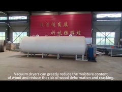 Verzekering Vacuüm Houtdrogoven met aangepaste verdampingskapaciteit en vacuüm